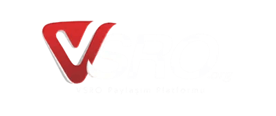 Vsro-Org logo